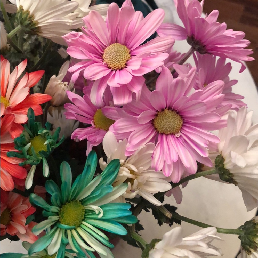 Most items that show sold,in fact did not sell bc I canceled the sale